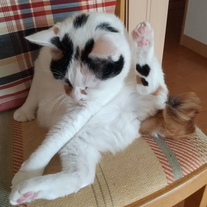 Fb28bcfb e28a 41e7 bd77 046d0870dc5e 1611622633472