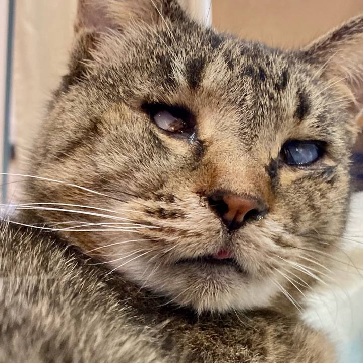 Fb28d082 8c65 4381 a5e7 4b74274e7ad4 1679817573634