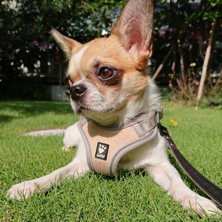 Fb28d533 782b 4f27 94b5 3bd0e9bd4138 1567035770427