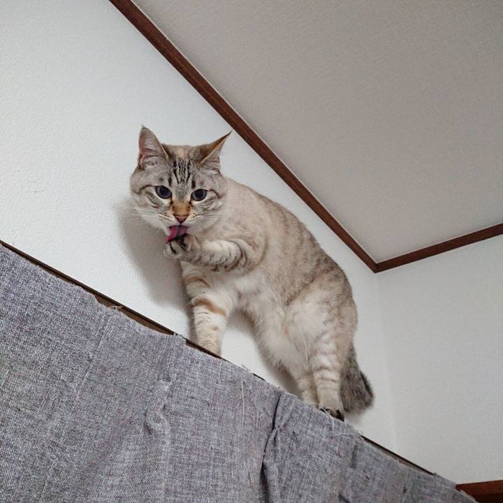 Fb28db45 3ba8 47b4 85f3 93240bdaa0e3 1592913810269