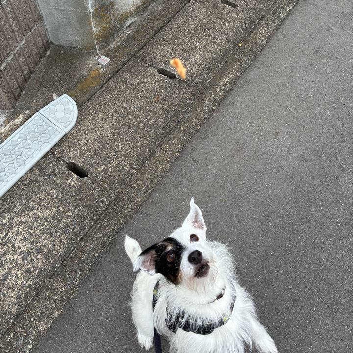 Fb28fde4 5610 40f4 b331 799a8fea41a1 1760311089186