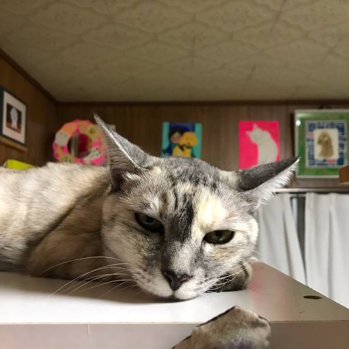 Fb291717 1a4b 49bf b45d d766ef0b6b35 1598781816478