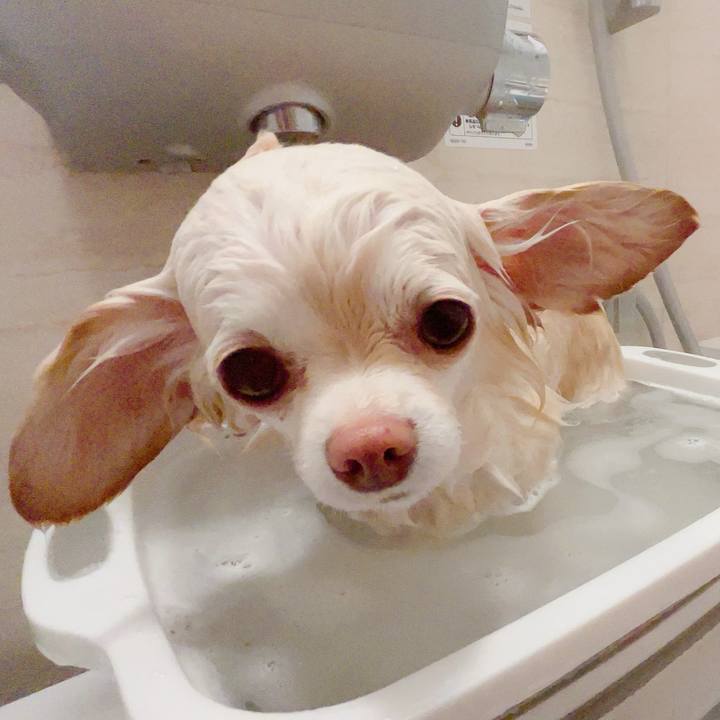 Fb293d07 66de 4fe3 af01 d58b3ddf2bf2 1707219312629