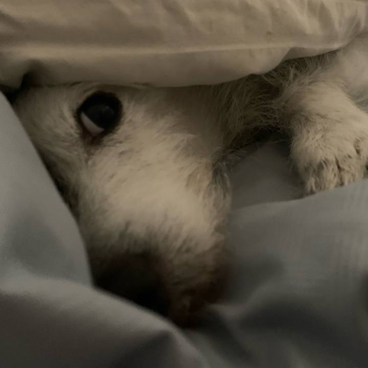 Fb2944ad 094b 4a88 be29 06286fc046a4 1718286092579