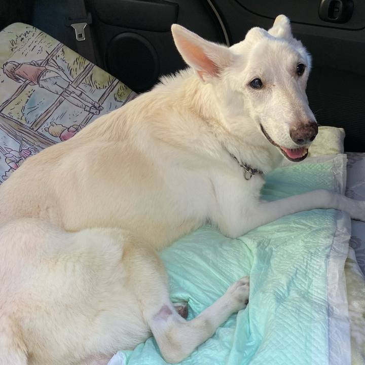 Fb294a49 7d90 439f a78a 0e01e6e4bd9b 1605761013030