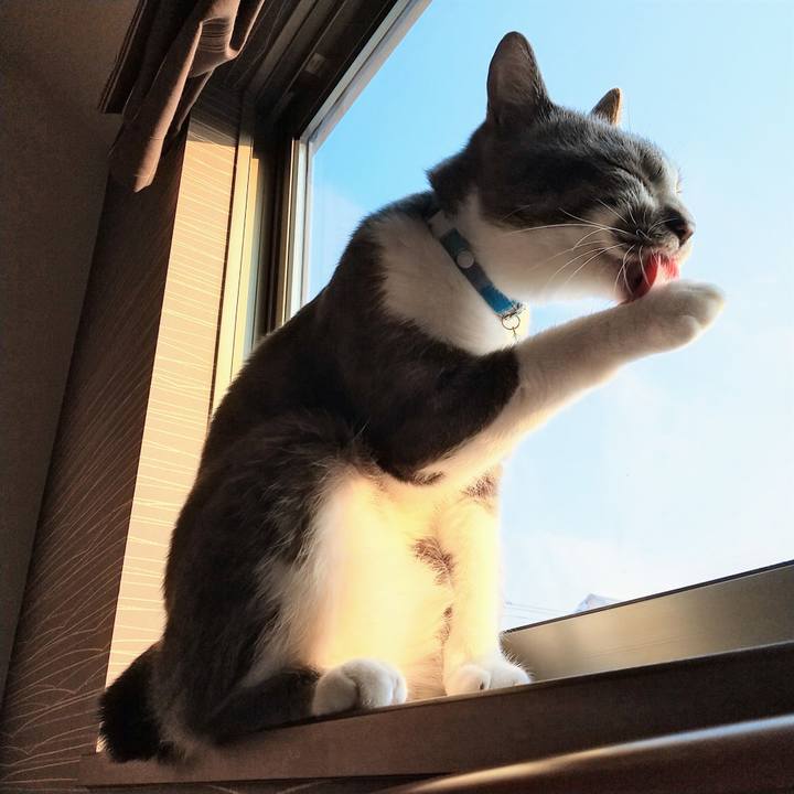 Fb298ed5 077f 412a 8f63 ae7feed452c7 1623274830809