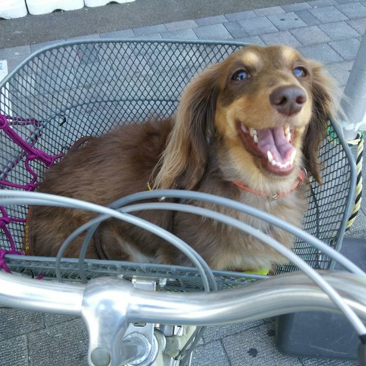 Fb29b6cf d13f 42c4 81bb 7dcef87ccf11 1538903749015