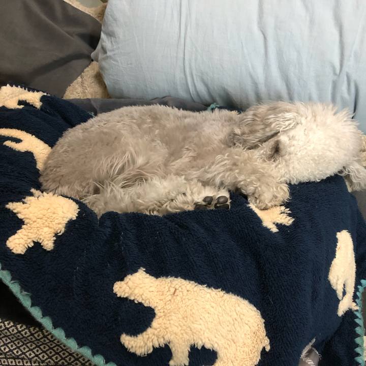 Fb29ce2d 7879 482b b1b9 ae0f4fbc0665 1586351008714