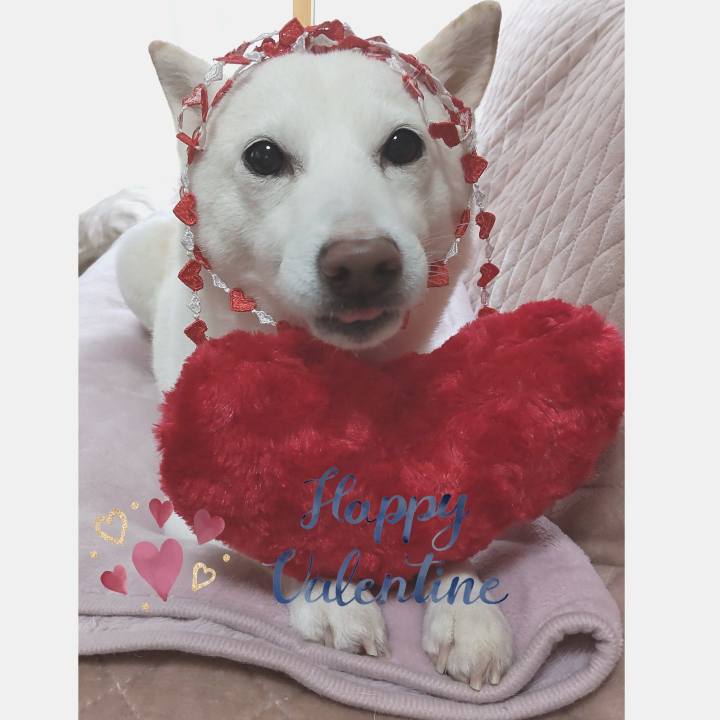 Fb29ce96 b1ab 42b5 9730 d9b349cabfcc 1644805565270