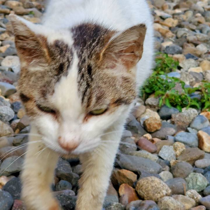 Fb2a1bb8 5c6d 4637 accc 6275c1422fc3 1756128527202