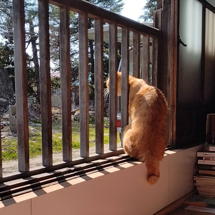 Fb2a2714 ca5f 4846 a87a f10475dec38f 1680078052896