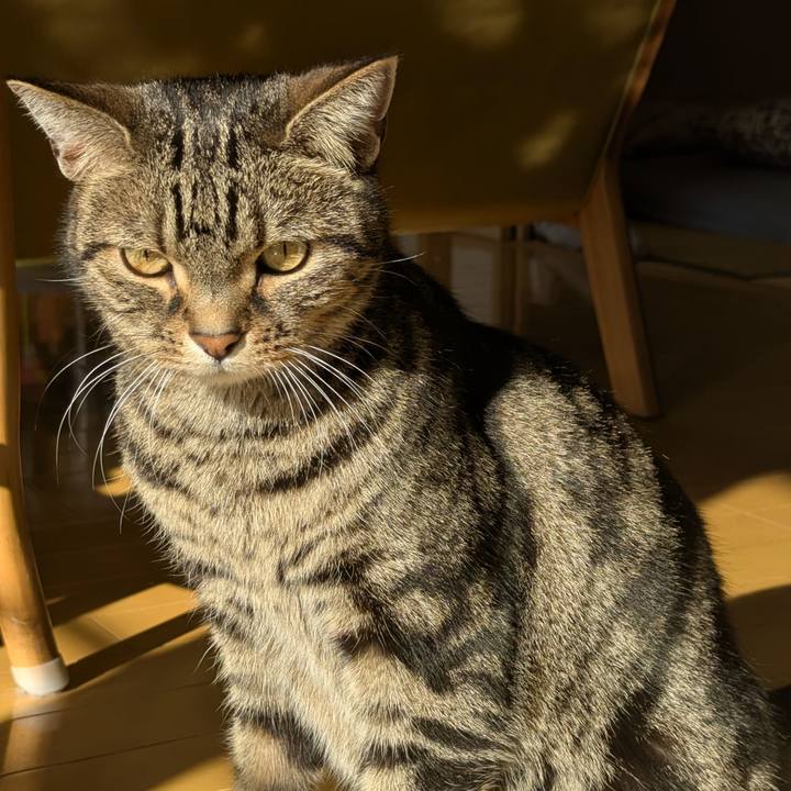 Fb2a3cd9 26f4 4fce 8280 9665e3b1795a 1768824599228