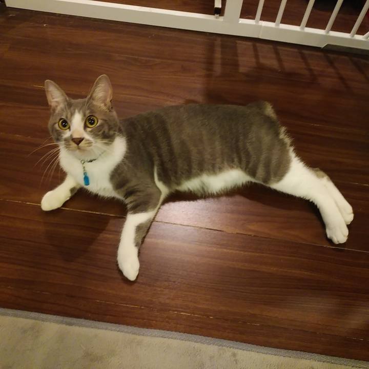 Fb2a854d 65c1 4ff8 92ba 0284a52037bf 1594825252217