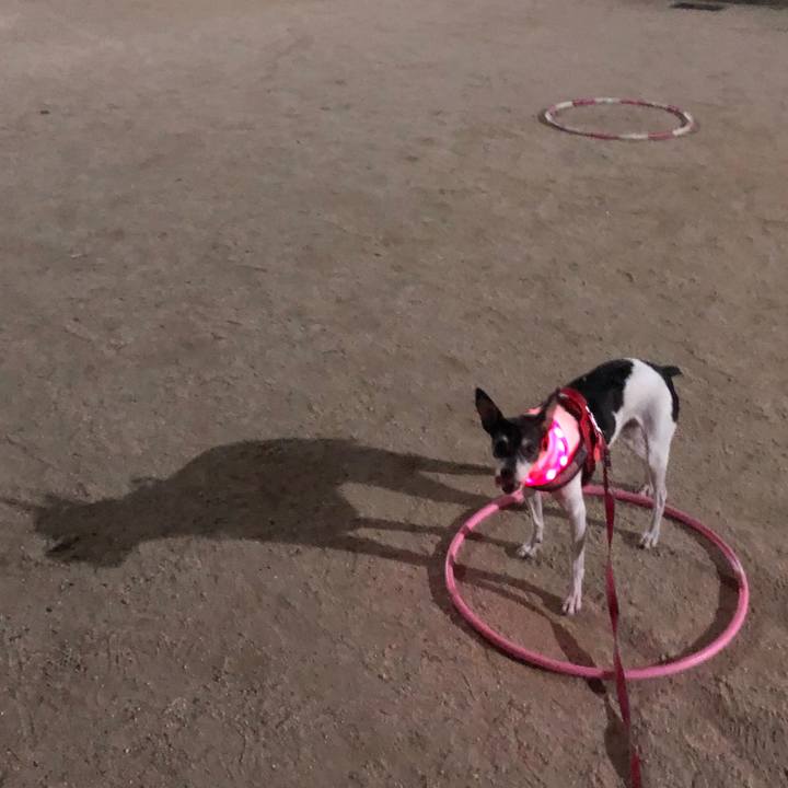 Fb2aab12 efa3 4991 b78e 2cc291ae5319 1570506999486