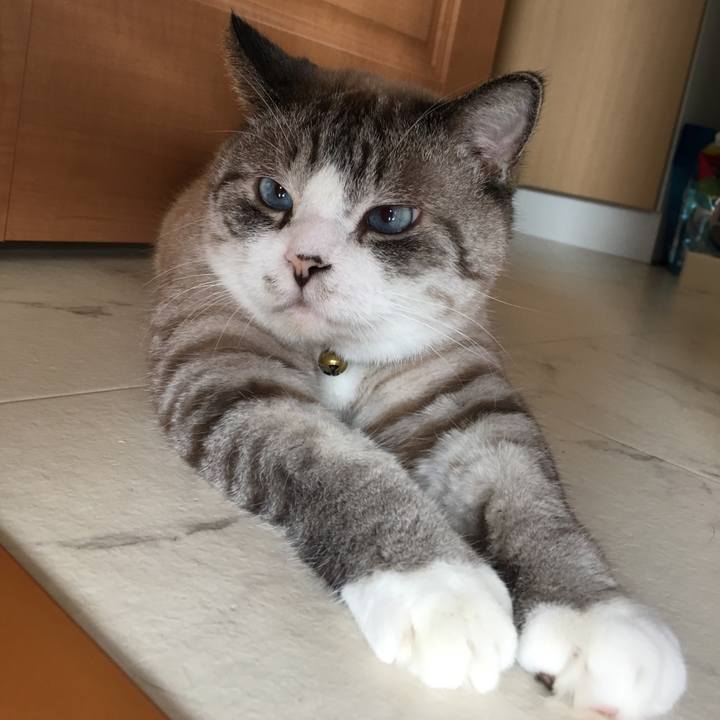 Fb2abdba 7156 4017 8f05 60b2e1e809b7 1566258394409