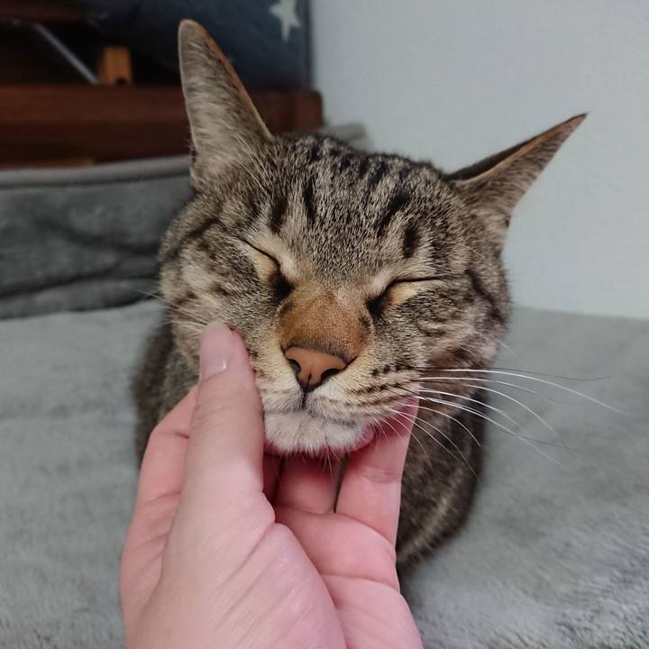 Fb2abe6a 592c 47a1 8926 60b2a88f1a6e 1586703976946