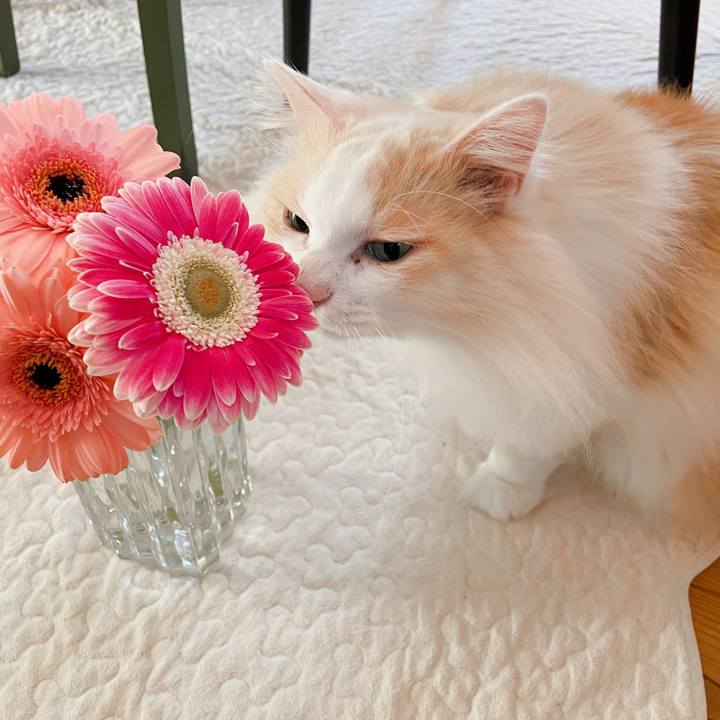 Fb2acbe5 9111 4684 b65e dbf14d3ce8dc 1677011762764