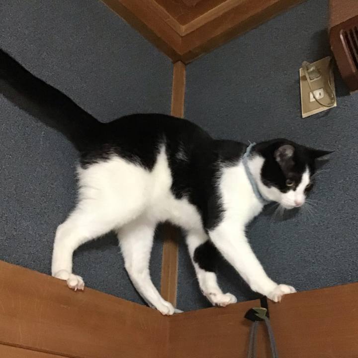 Fb2afcfd b2dd 4bb5 b707 3571bfc29363 1663497134208