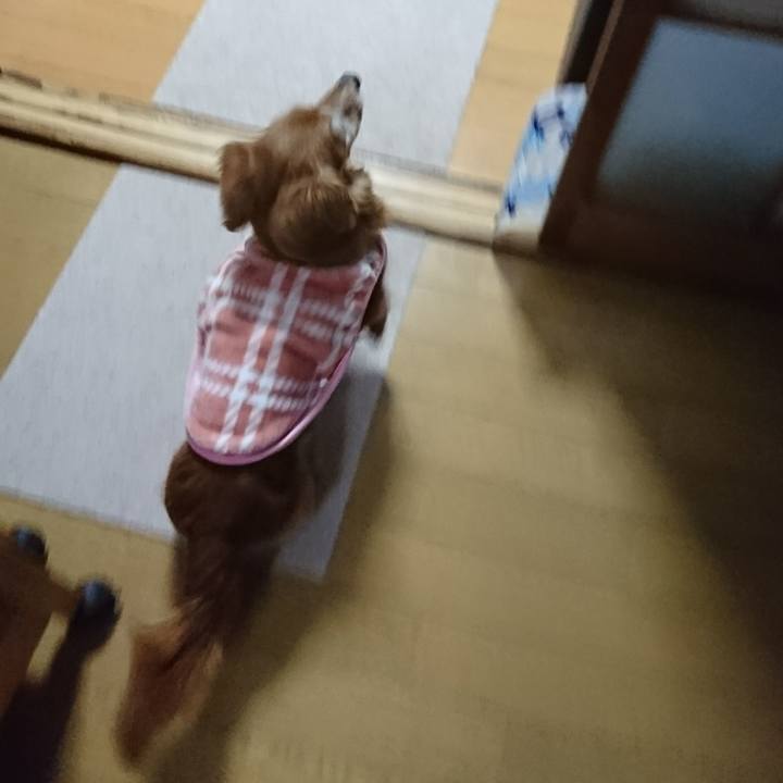 Fb2b1aa1 a1e6 4662 bb54 dec28ad2a2f4 1517474001661