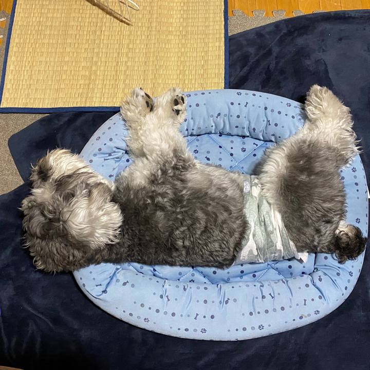 Fb2b2083 8c81 462d b192 920daf5dfd7b 1589042288931