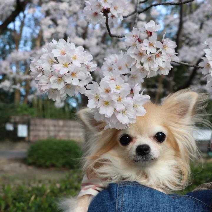 Fb2b2fb0 175f 47bf bdda 8ef2e24fb02e 1772710184271