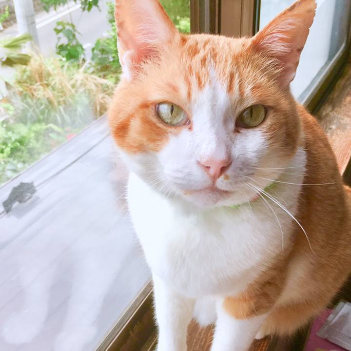 Fb2b51cc 58c8 428e b764 4f4c9c0845ff 1560307663361