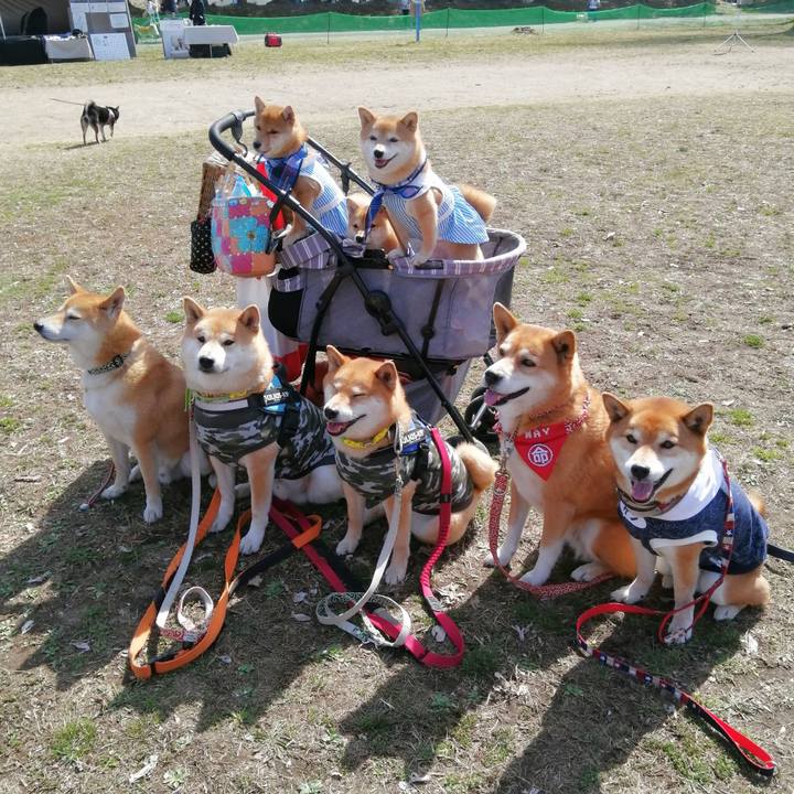 Fb2b88dd 4506 4c09 b3f3 52446375c03a 1646488325193