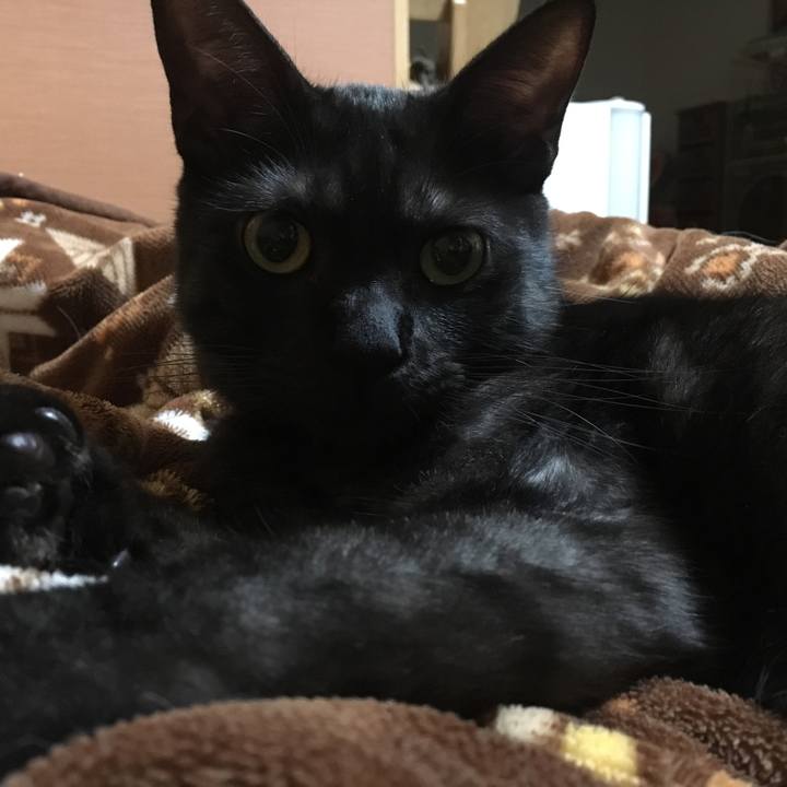 Fb2bc16b 4b52 4b75 9955 7a2e61586ecb 1550799657098