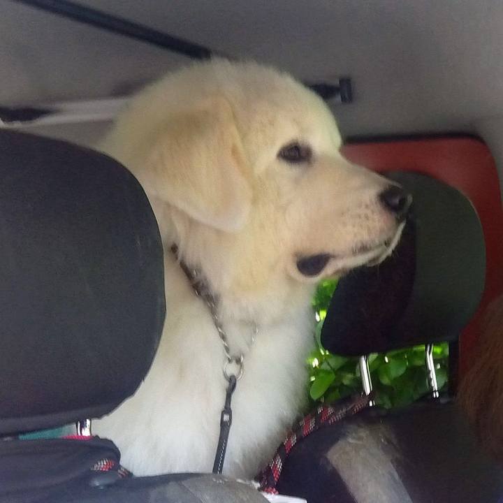 Fb2bec29 0d72 45db 83af 697d8591a3c0 1692835643807