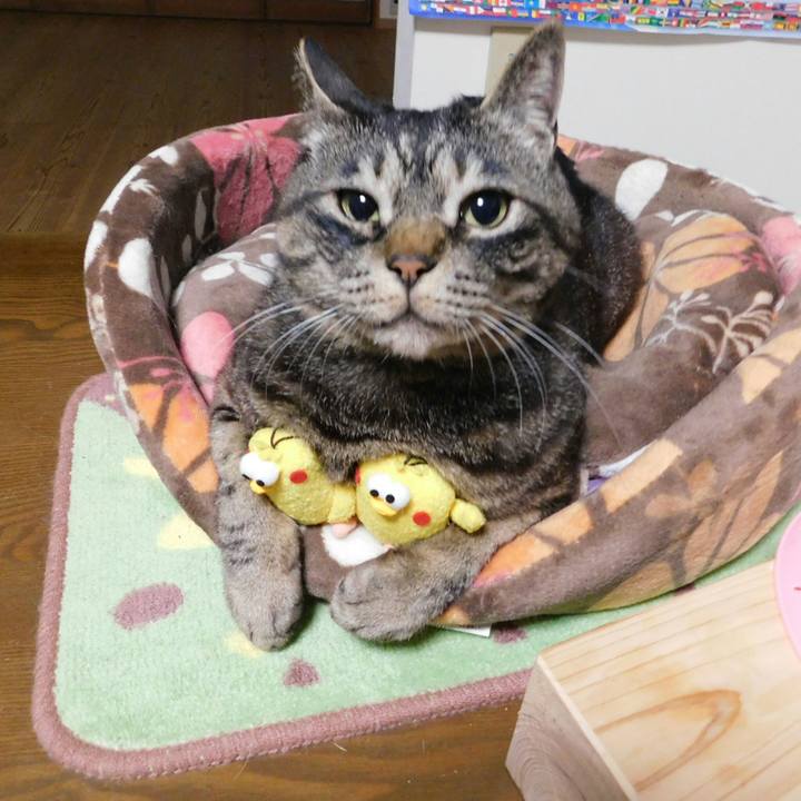 Fb2c0290 bfa4 4430 a4cb 206683bca114 1527531739552