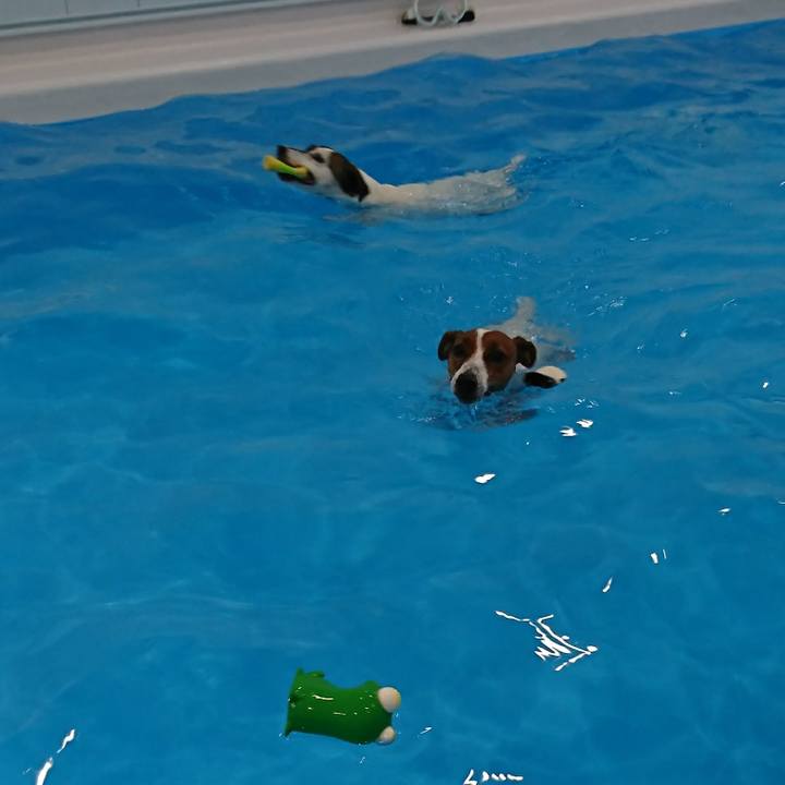 Fb2c2884 83b6 4d96 95cf c84bc21c3739 1603514139869