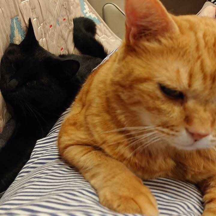 Fb2c6512 7b79 4946 916b 889faebf024e 1571183192516