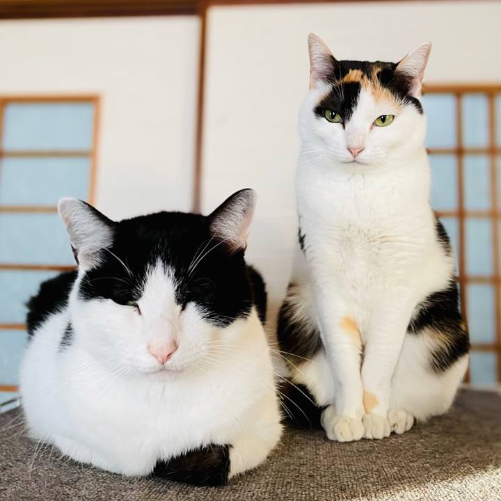 Fb2c6933 dae8 4026 aa45 8ca3538dd3bc 1608430599268