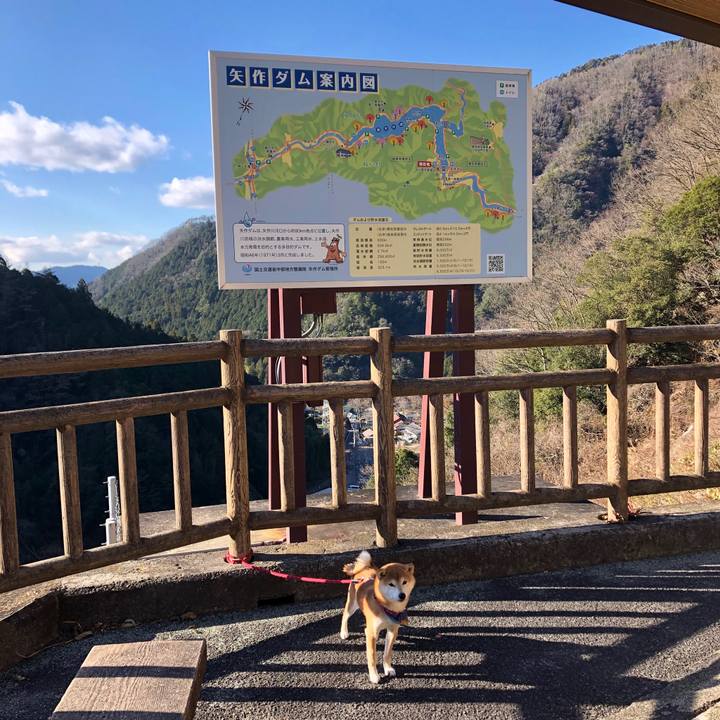 Fb2cc677 0606 465e aa94 7d34355134d5 1544772074735