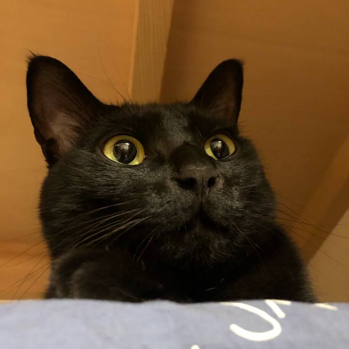 Fb2cf249 9c48 4bd6 9501 af7c714c3f18 1584616054694