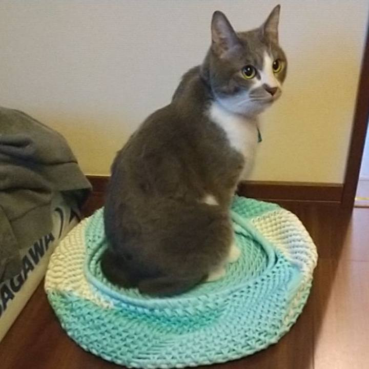 Fb2d0e53 14ba 407d 90e2 b8db33230ab0 1645096915198