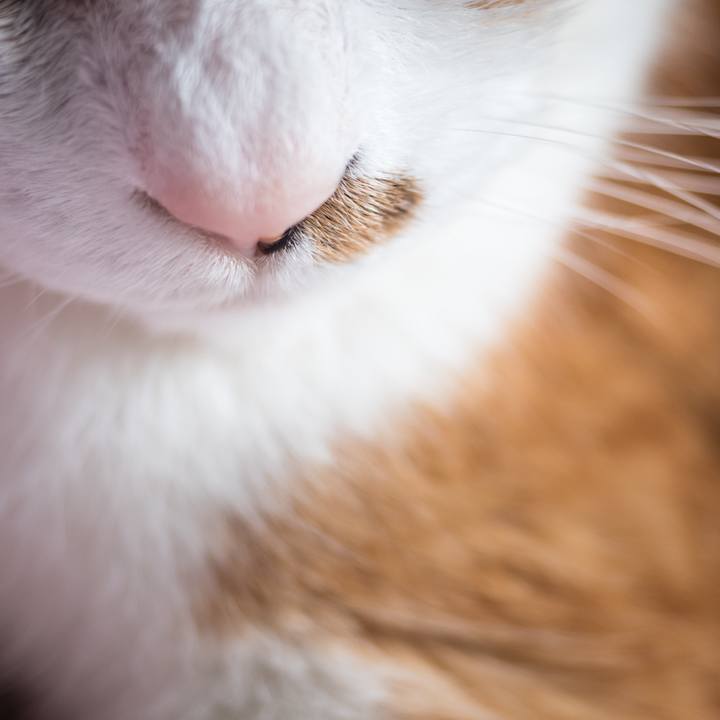 Fb2d3036 174b 4c7a 8389 745c1b097683 1531096009003