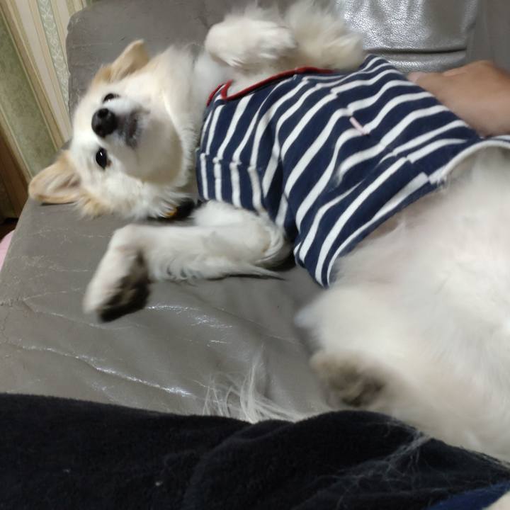 Fb2d3937 b431 475e b1b2 7299a4f47f8e 1641722421637