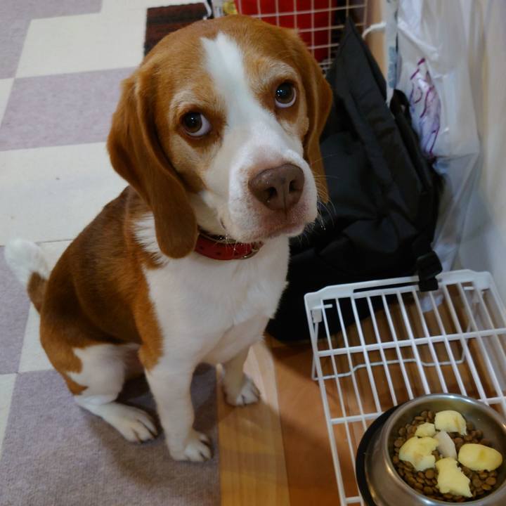 Fb2d7485 fe27 4f3f 9c27 de7cb591d007 1661938785366