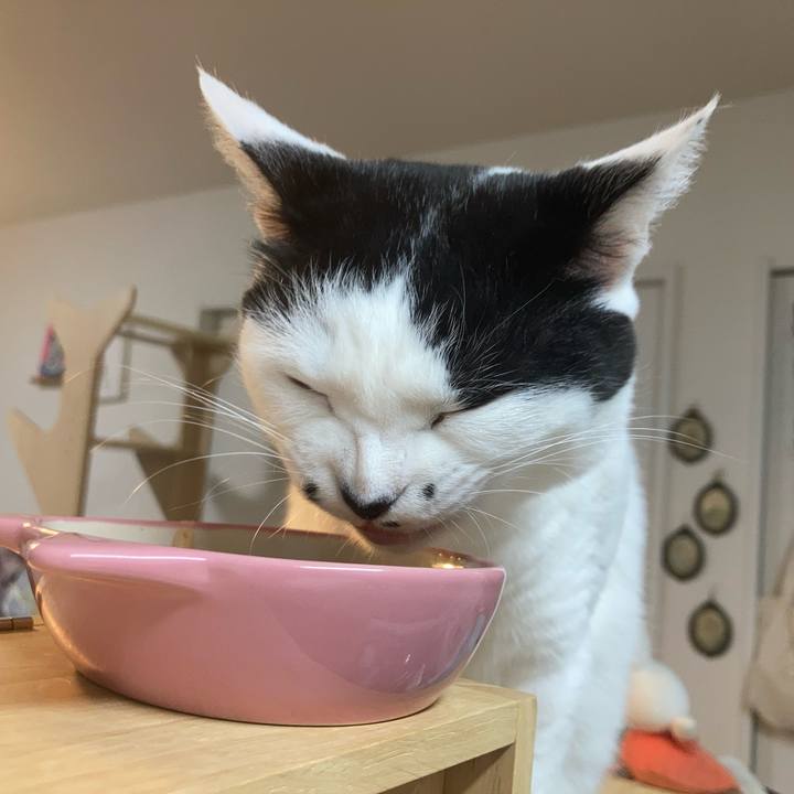 Fb2d938e 9b61 4c72 98ac de57ea782af0 1775422222578