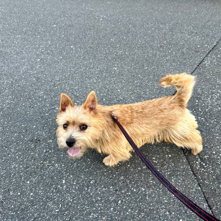 Fb2d9b16 ec2b 408b ba49 ee273560171b 1730716981464