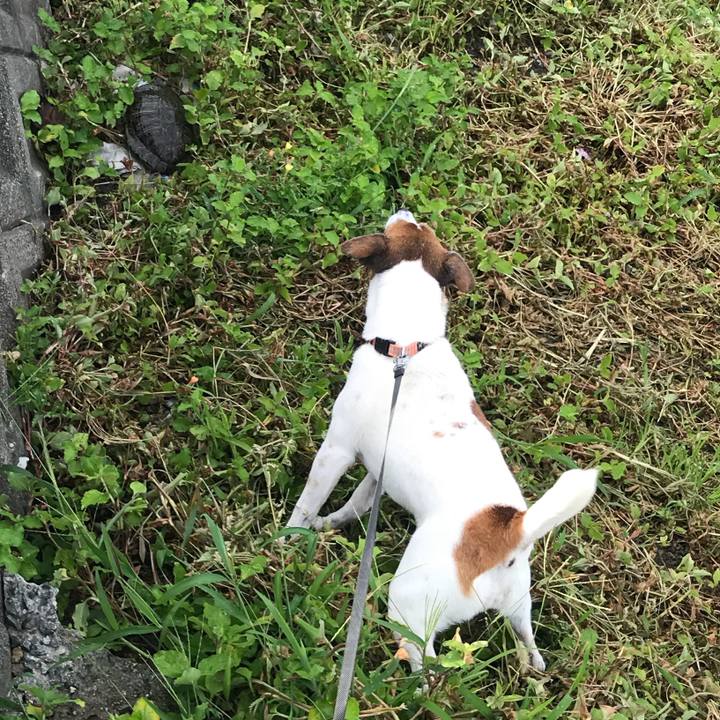 Fb2d9edd b734 4470 a0a3 aae212323025 1530319645090