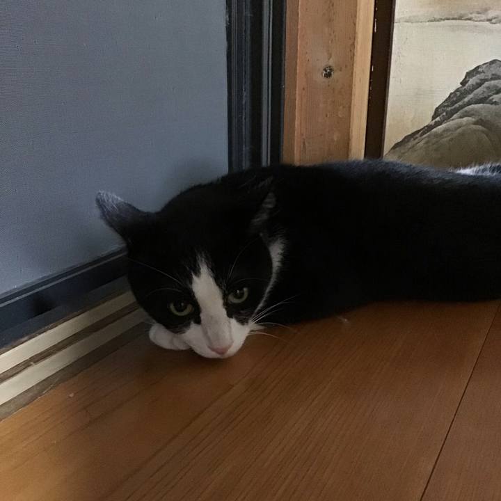 Fb2da138 e21f 4e88 ac22 840625f61b13 1755858021966