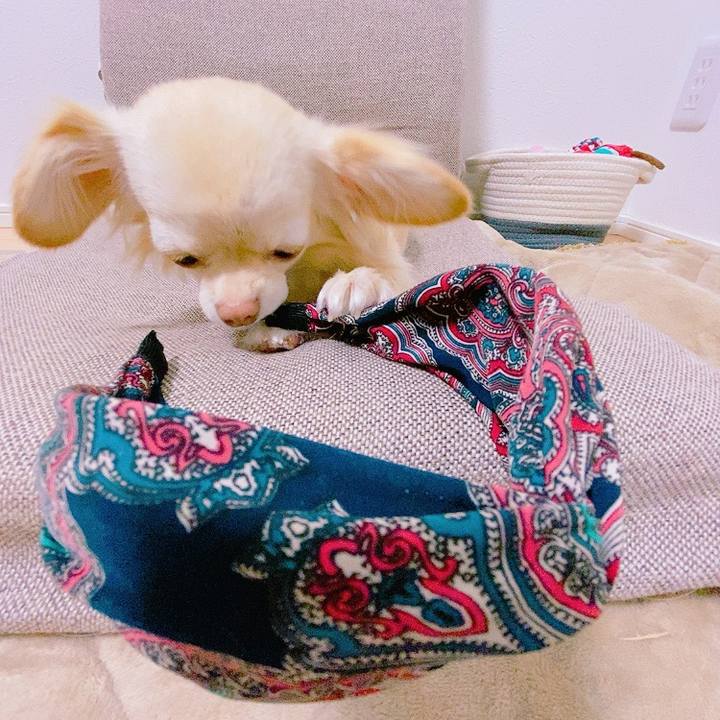 Fb2dbdb7 d4dc 4fa6 a9f8 4878ba1f0377 1620200692885