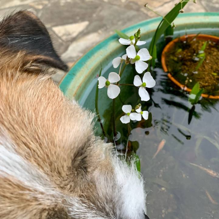 Fb2dd348 c156 478d 97ff 252f60179d66 1682777643154