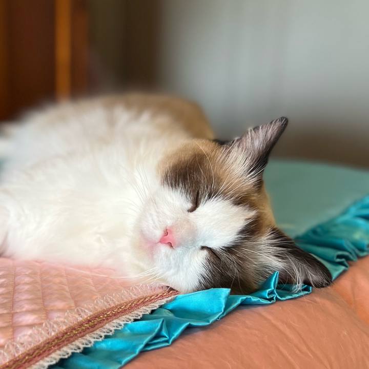 Fb2e2a3f bbe4 4fe9 90bb 7becc014130d 1688987957772