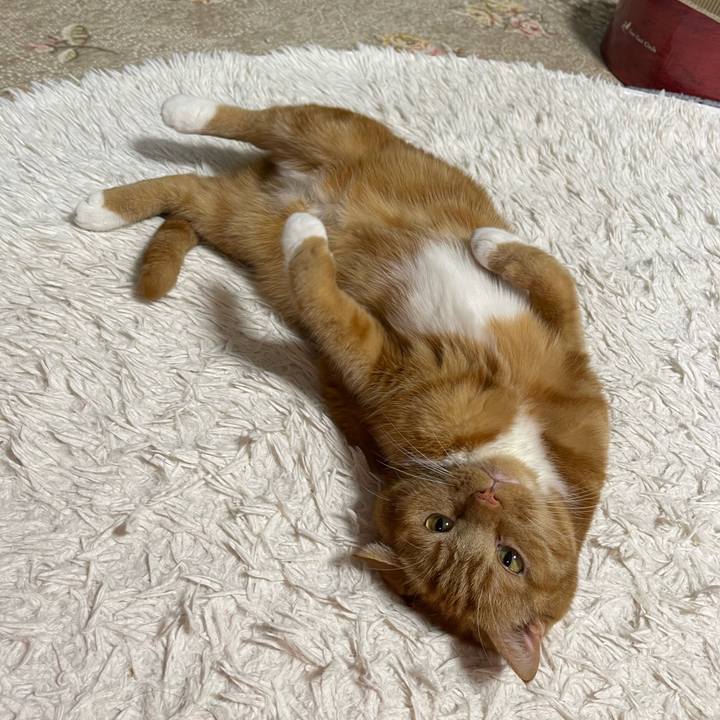 Fb2e439d ffb1 4df6 8c9d 407689eeb05d 1677498030433