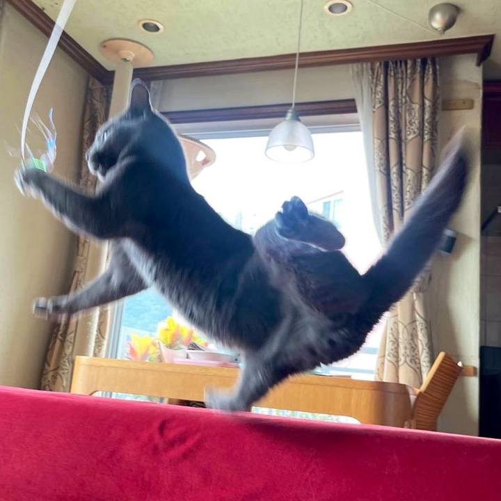 Fb2e515a 5ec2 408f a243 4947faaa46c3 1730797723321