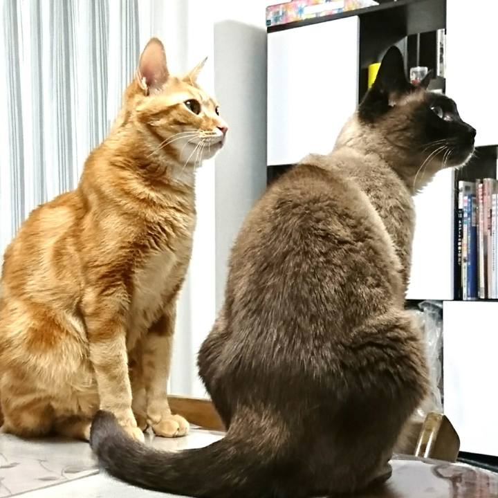 Fb2e55b3 dd97 43c3 8dd4 c2c92a47ac75 1523403687062