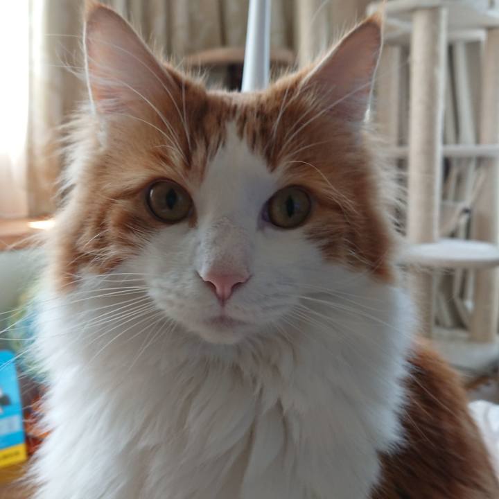 Fb2ebdc0 e98f 4bfe b1e3 fc80558aa713 1521248803154